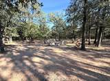 1127 County Road 234 Rd - Photo 17