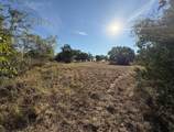 1127 County Road 234 Rd - Photo 20