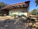 1127 County Road 234 Rd - Photo 25