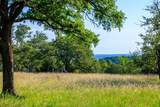 481 Living Water Ranch Rd - Photo 5
