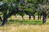 481 Living Water Ranch Rd - Photo 8