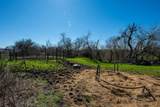 901 County Road 398 - Photo 9