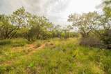 6562 Cross Rd - Photo 10