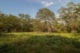 6562 Cross Rd - Photo 6