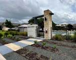224 Trellis Blvd - Photo 34