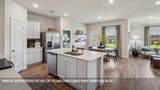 213 Southridge Trl - Photo 6