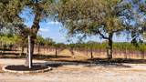 25711 Hamilton Pool Rd - Photo 18