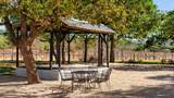 25711 Hamilton Pool Rd - Photo 19