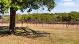 25711 Hamilton Pool Rd - Photo 21