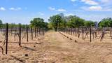 25711 Hamilton Pool Rd - Photo 24