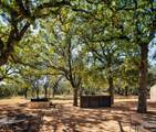25711 Hamilton Pool Rd - Photo 3