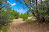 13812 High Lonesome Rd - Photo 11