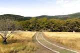 415 Frio Canon Trl - Photo 33