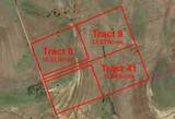 Tract 41 County Road 210B - Photo 1