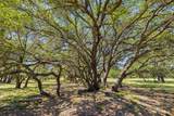 937 Flat Creek Rd - Photo 1