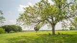 624 County Road 306 - Photo 38