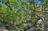 0 Cr 318 Rd - Photo 10