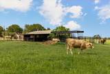 4140 County Road 467 - Photo 5