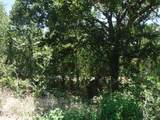 110 Settlers Trl - Photo 24