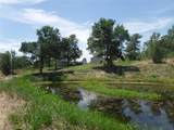 110 Settlers Trl - Photo 25