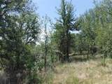 110 Settlers Trl - Photo 33