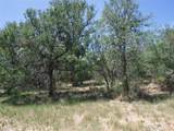 110 Settlers Trl - Photo 35