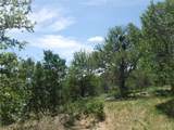 110 Settlers Trl - Photo 37