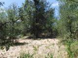 110 Settlers Trl - Photo 39