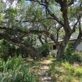 1111 Oltorf St - Photo 23
