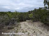 701 Plant Lady Ln - Photo 11