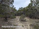 701 Plant Lady Ln - Photo 19