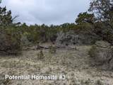 701 Plant Lady Ln - Photo 20