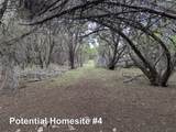 701 Plant Lady Ln - Photo 22