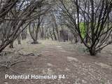 701 Plant Lady Ln - Photo 23
