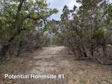 701 Plant Lady Ln - Photo 5
