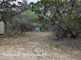 701 Plant Lady Ln - Photo 6