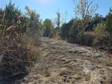 201 Sycamore Valley Rd - Photo 12