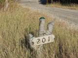 201 Sycamore Valley Rd - Photo 3