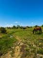 LOT 24 Private Rd - Photo 1