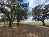 Tract 2 Fm 713 Highway - Photo 7
