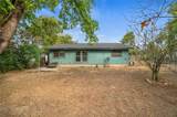 2523 Stassney Ln - Photo 25