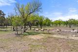 10900 Ranch Road 1323 - Photo 37