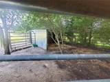 105 Red Tip Ln - Photo 31