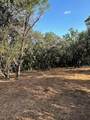 401 Mountain Crest Dr - Photo 4