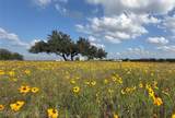 2502 Ranch Road 1323 - Photo 40