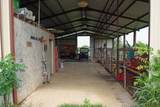 244 Apache Springs Rd - Photo 10