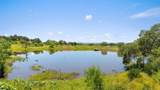 1101 Crider Rd - Photo 3