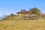 1101 Crider Rd - Photo 7