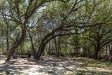 2088 (Tract #3) Baca Loop - Photo 4