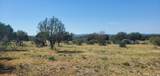 Tract 6 Lehne Loop - Photo 14